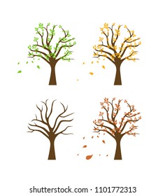 Set of four trees showing appearance in changing seasons