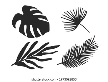 Set of four tropical leaves. Vector illustration.