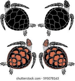 set of four turtles in various coloring and drawing