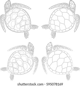 set of four turtles in various coloring and drawing