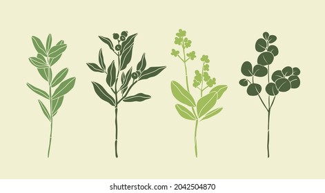 Set of four various Branches with Leaves and Berries. Abstract elegant floral drawing. Hand drawn trendy Vector illustration. All elements are isolated. Perfect For your own decoration or design