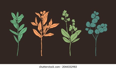 Set of four various Branches with Leaves and Berries. Abstract elegant floral drawing. Hand drawn trendy Vector illustration. All elements are isolated. Perfect For your own decoration or design