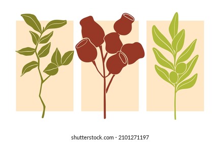 Set of four various Branches with Leaves and Flowers. Abstract elegant floral drawing. Hand drawn trendy Vector illustration.  Perfect For your own decoration or design, fabric design