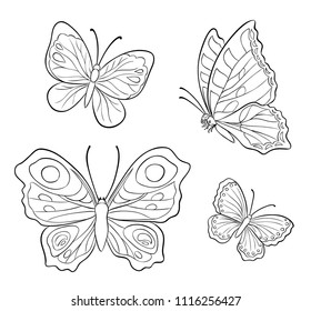 Set of four vector butterflies in outlines