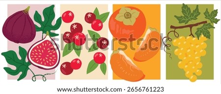 Set of Four Vector Illustrated Autumn Fruit Posters – Figs, Raspberries, Persimmons, Yellow Grapes