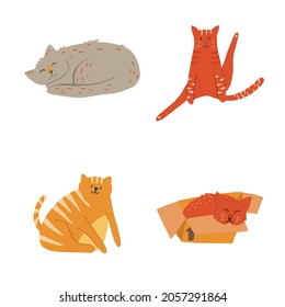 Set of four vector illustration flat cartoon cats. Sleeping, leg up grooming, sitting, sleeping in box.