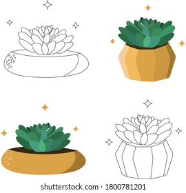 Conjunto de cuatro ilustraciones vectoriales de cactus en estilo de dibujos animados. Dibujo de cactus en ollas rojas aisladas en fondo blanco. Se puede usar para postales, invitaciones, papelería, textiles.