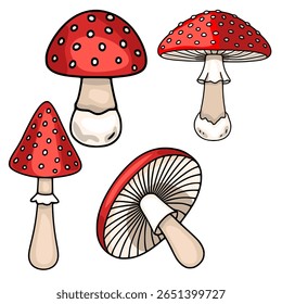 A set of four vector illustrations of fly agaric mushrooms in various perspectives, showcasing their distinctive red caps with white spots and detailed stem structures, ideal for autumnal designs.