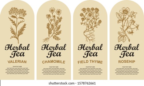 Set of four vector labels for various herbal tea decorated by hand-drawn herbs and calligraphic inscriptions with place for text in retro style. Valerian, Chamomile, Field thyme, Rosehip