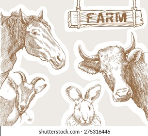 set of four vector sketches farm animals on a gray background