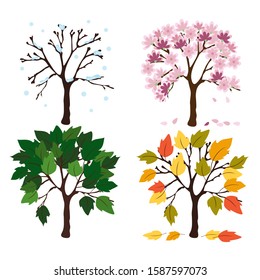 Set of four vector trees show all seasons. Winter, spring, autumn, summer. Illustration of the time flow. Elements for design.