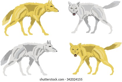 Set of four vector wolves in grey and light brown tones. Isolated on white