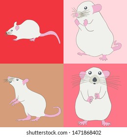 Set of four white rats with pink paws. Vector Illustration