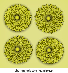 Set of Four Yellow Chrysanthemums