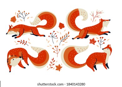 Set of Fox Animal with Foliage Background Vector Illustration