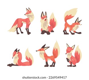 Set of fox in different poses. Red wild forest animal cartoon vector illustration