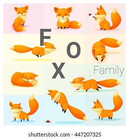 Set of Fox family , vector , illustration