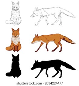 Veсtor Set of Fox Illustrations. Silhouette, Sketch and Cartoon Vixens