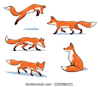 Set of fox illustrations in various poses simple drawing, vector