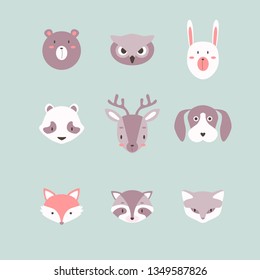 Set of Fox, raccoon, dog and owl cute vector animal