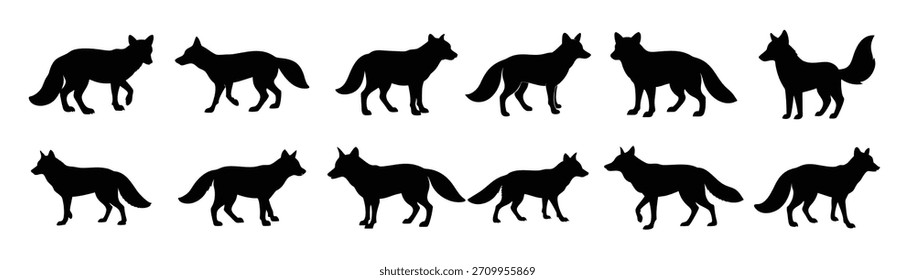 Set of fox silhouette illustration