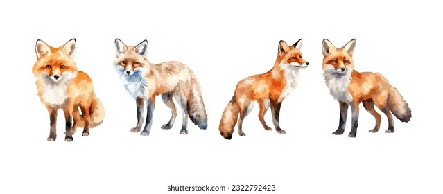 Set of fox wild animal watercolor isolated on white background. Vector illustration