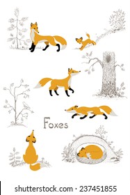 Set of foxes with simple sketches of the forest. Vector background.