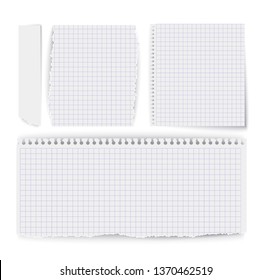 Set of fragments notebook paper leaflets with round perforation.