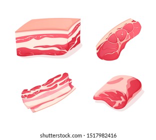 Set fragments of pork and beef meat. Assortment of meat slices of dish. Fresh pork and beef tenderloin with a layer of bacon and juicy soft boneless fillet. Vector illustration.