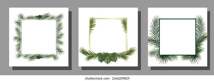 set of frame with palm leaf. jungle tropical background, plant vector