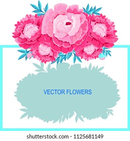 Set with frame and pink peonies on white background. Vector flower collection.