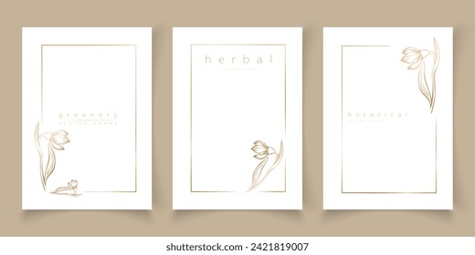 Conjunto de plantillas de flor de nevado de marco con un estilo mínimo lineal dibujado a mano. Marcos elegantes. Ilustración botánica vectorial para etiquetas, identidad corporativa, invitación de boda, logotipo, guardar la fecha