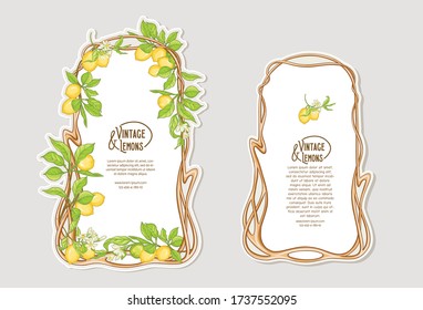 Set of frames in art nouveau style with lemon fruits and flowers branches. Good for product label. Colored vector illustration..