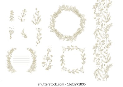 Set of frames, border decors, vignettes with aromatic herbs - dill (Anethum graveolens), virbena, rucula, fennel  (Foeniculum vulgare) on white background