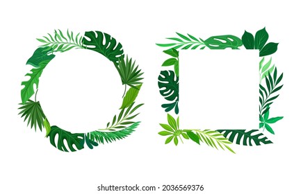 Set of frames of round and square shapes with palm leaves, invitation, greeting card, postcard design vector illustration