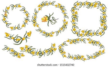 Set of frames from sea buckthorn berries. Frames round, square, oval, half circle