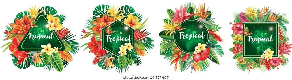 Set of Frames and from Tropical Flowers and Leaf