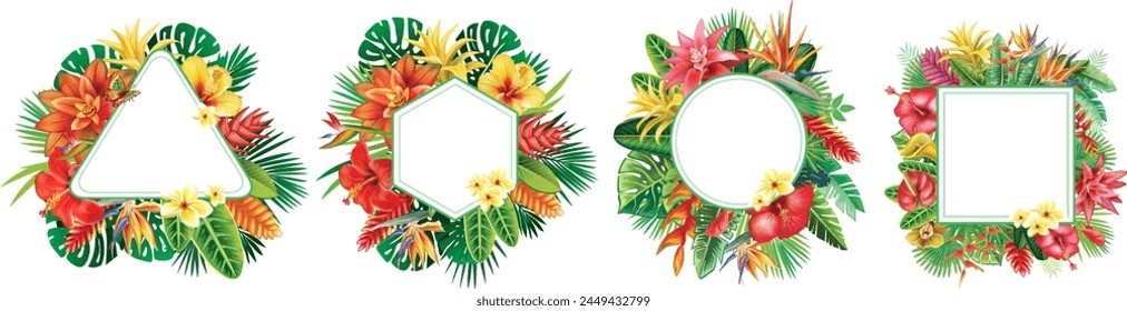 Set of Frames and from Tropical Flowers and Leaf