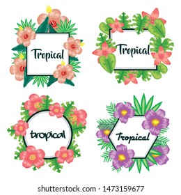 set of frames with tropical flowers and leafs