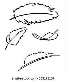 Set of free hand drawn feathers on white background. Vector illustration.