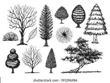 set of free hand drawn trees sketch, vector illustration design