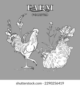 Set freehand illustration chicken, rooster, quail Isolated on a white background. Set of agricultural birds for printing on packaging, menus, restaurants, farms