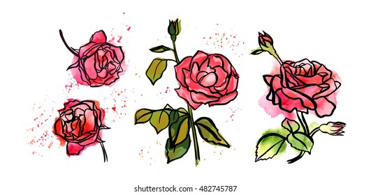 A set of freehand ink and watercolor drawings of roses, with blooming flower, buds, and green leaves, with splashes of paint. Scalable vector graphic on white background