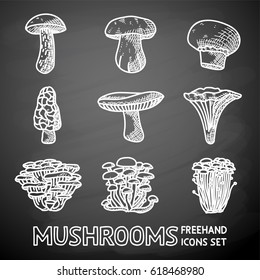 Set of freehand MUSHROOMS icons - porcini and champignon, morel, russule, chanterelle, oyster, honey agaric, enokitake. Vector illustration