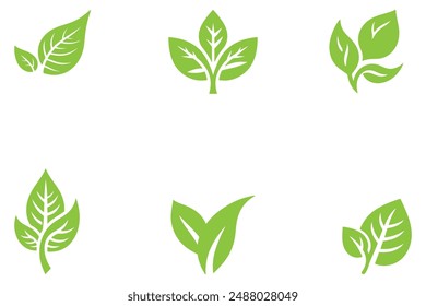 Set of Freen Leaves that can be used as Ecology and Nature elements in vector icon designs
