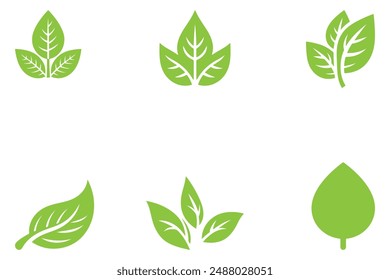 Conjunto de hojas verdes que se pueden utilizar como Elementos de ecología y Naturaleza en diseños de íconos de Vector