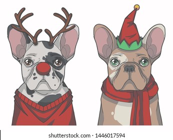 Set of French Bulldog dogs dressed up as Reindeer and Christmas Elf, vector illsutrations suitable as festive greeting card motive