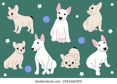 Set with french bulldogs and bull terrier in different positions. Flat vector illustration.