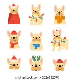 Set of French bulldogs. Christmas holiday. Hand drawn vector illustrations on white background. 