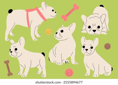 Set with french dogs in different positions. Flat vector illustration.